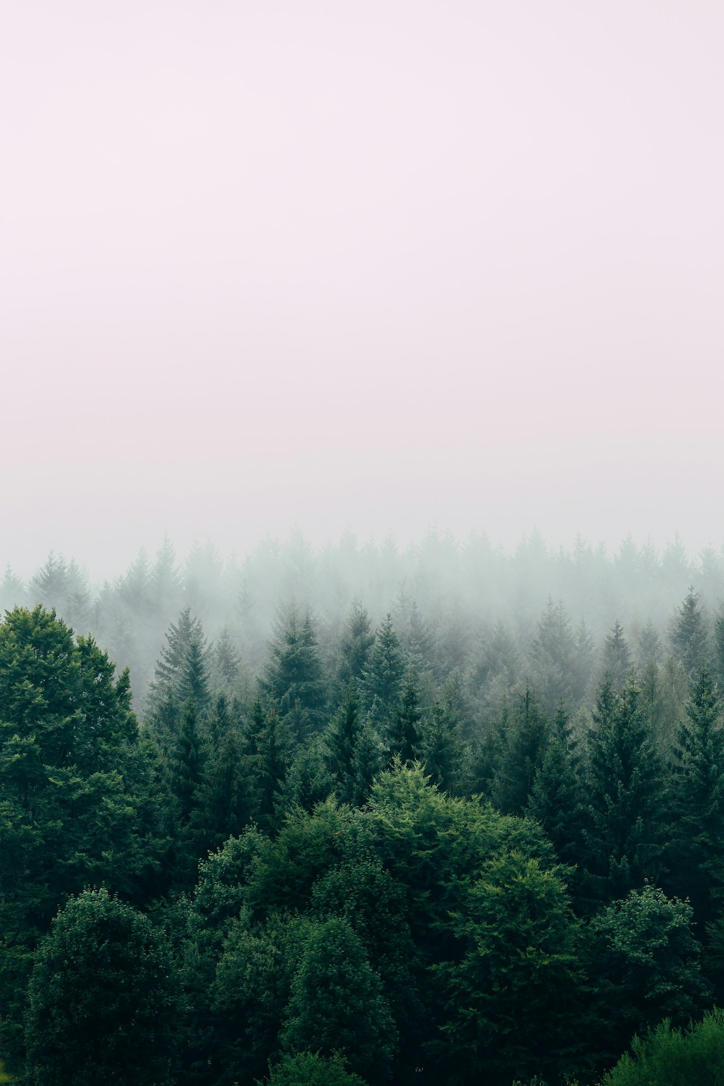 Wie die Natur uns zur Achtsamkeit führt