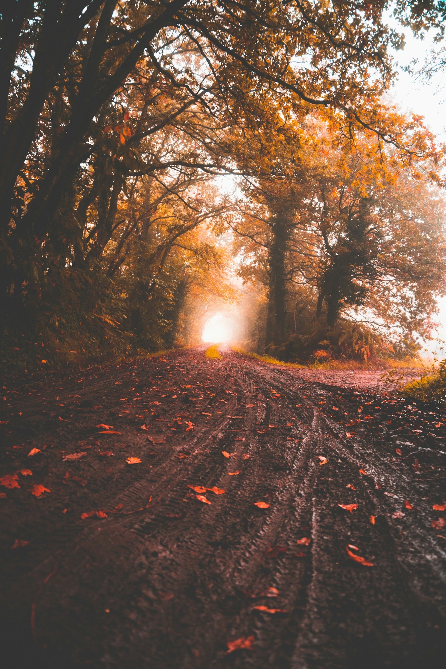 Inspiration aus der Stille der Natur